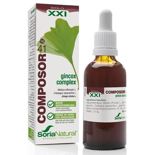 COMPOSOR 41 - GINCOX COMPLEX XXI