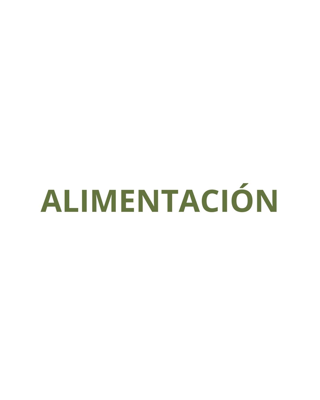 ALIMENTACIÓN SALUDABLE