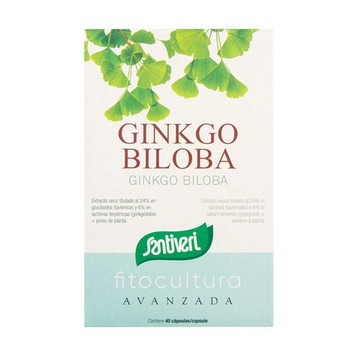 GINKGO BILOBA