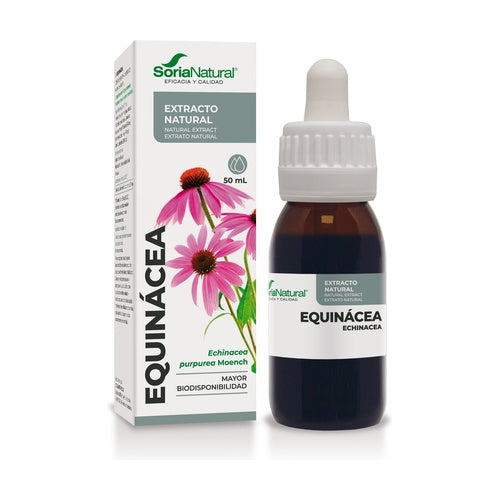 EQUINÁCEA EXTRACTO NATURAL
